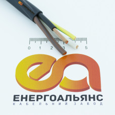 Кабель Енергоальянс ВВГнг-LS 3х10+1х6 1 м