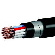 Cable Energoalliance AKVBbShv 10х2,5 1 m